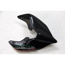 Carbonvani - Ducati Panigale / Streetfighter V4 / V2 / S / R / Speciale Carbon Fiber Tail - Road Version Carbonvani - Ducati Panigale / Streetfighter V4 / V2 / S / R / Speciale Carbon Fiber Tail - Road Version
